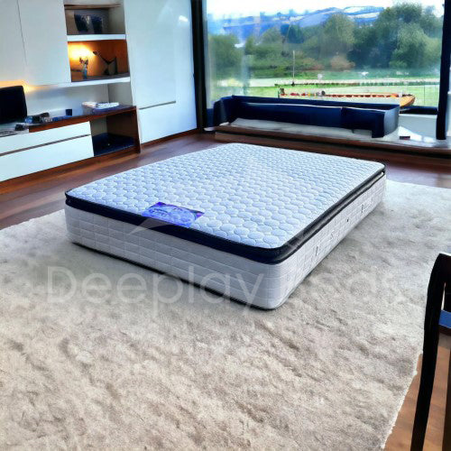 Mattress on a rug in a room with a window view